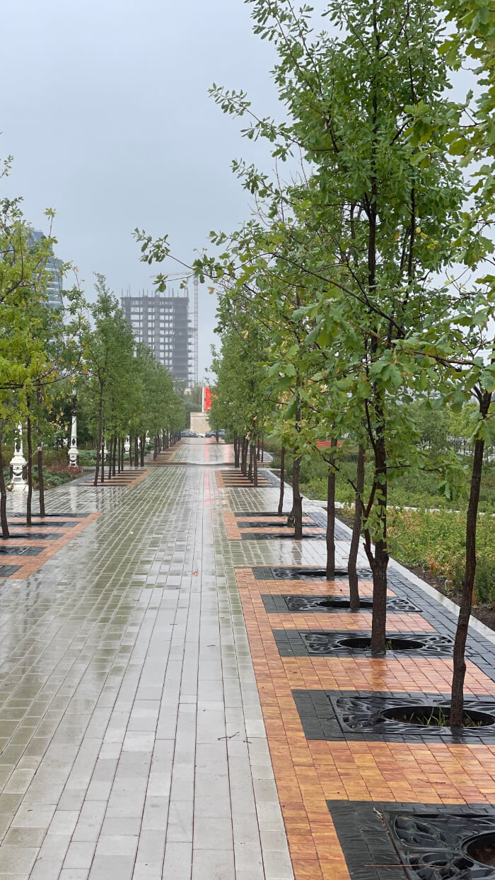 Приствольная решетка для дерева ZKING CRUST 1.2х1.2м Черная в Мичуринске фото