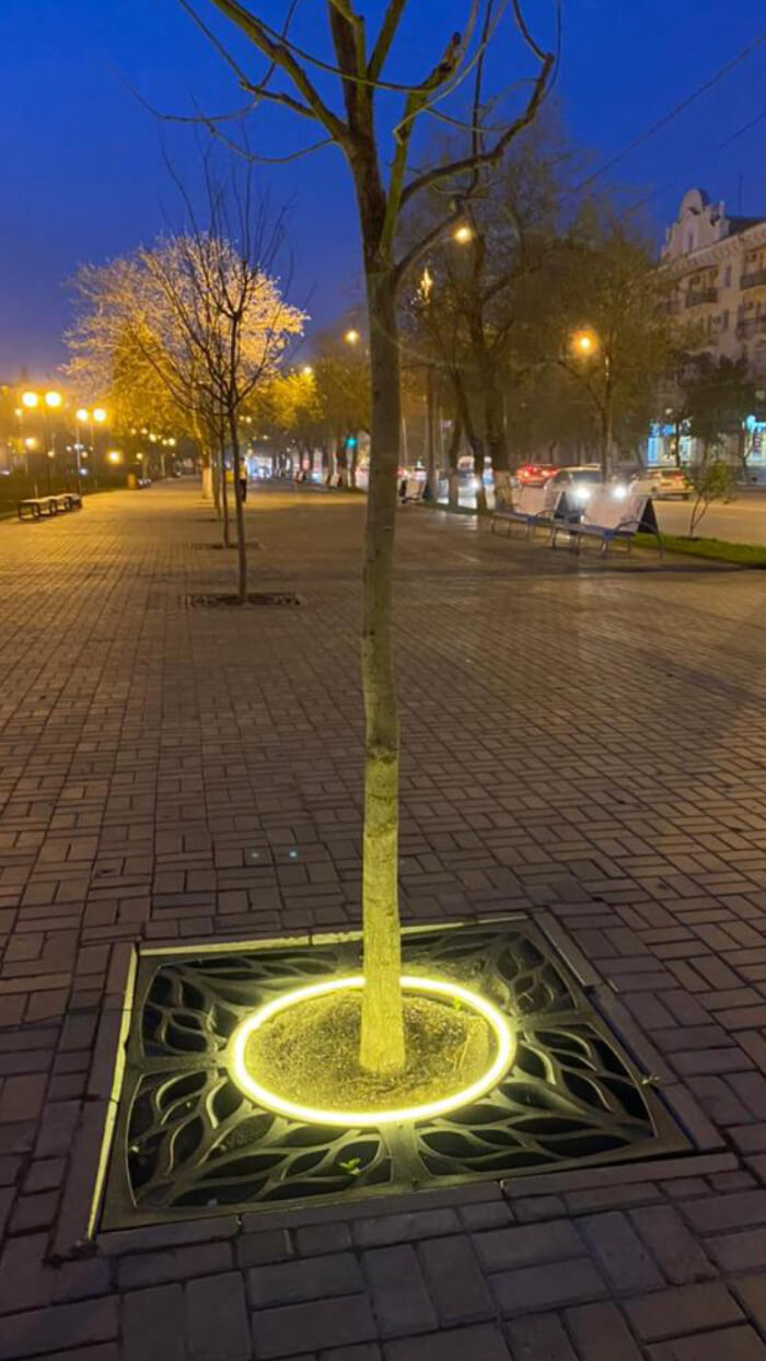 Приствольная решетка для дерева ZKING CRUST 1.2х1.2м Черная в Мичуринске фото